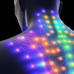 Acupressure Therapy