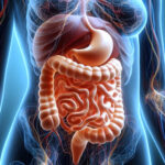 DIGESTIVE CARE REIKI