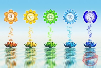 chakras-awakeing-course-in-rishikesh-india Chakra